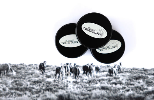 Honey + Twisted Tallow -4oz